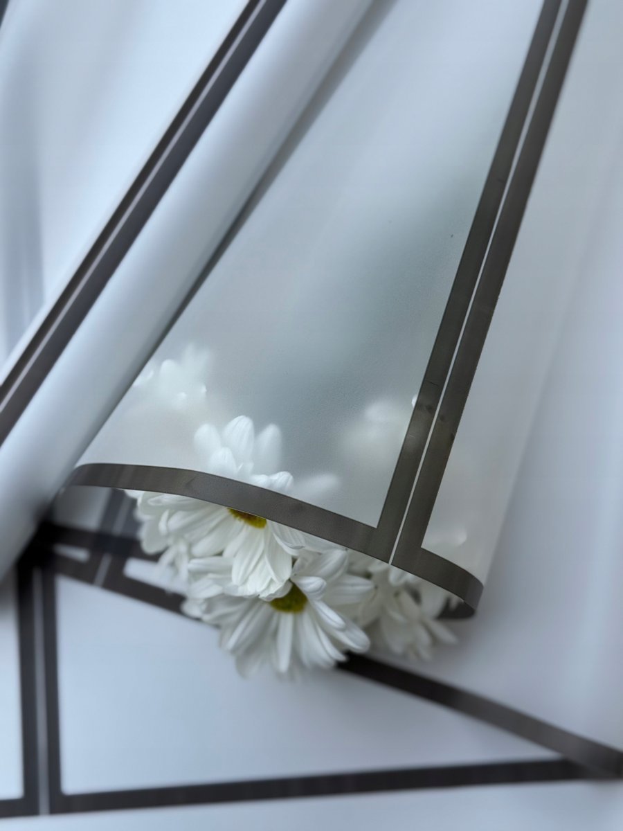 Folia matowa ze wzorem OBWÓDKA, Przezroczysty + czarny