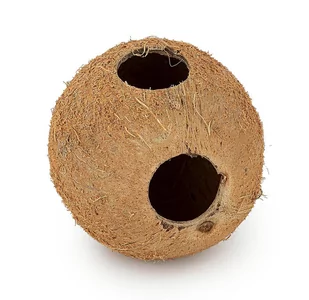 Skorupa kokosa Happet 1/1 nieszczotkowana 3 szt. - Akcesoria do terrarium - miniaturka - grafika 2