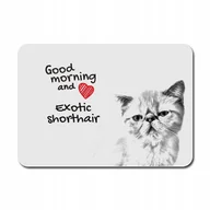 Podkładki pod mysz - Kot egzotyczny Podkładka pod mysz myszkę Grafika - miniaturka - grafika 1