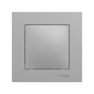 Wyłączniki światła i elektryczne - Schneider Electric Zaślepka gniazda Miluz Ed aluminium - miniaturka - grafika 1