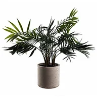 Sztuczne drzewka - Sztuczny liść Bonsai 40 cm - miniaturka - grafika 1