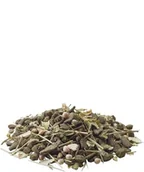 Karma dla gryzoni - Versele-Laga Degu Nature pokarm dla koszatniczki 700g MS_16091 - miniaturka - grafika 1