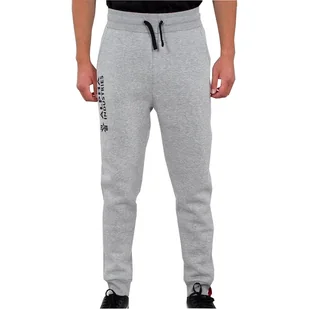 Spodnie ALPHA INDUSTRIES JOGGER AI szare (grey heather) 116368 17-M - Spodnie męskie - miniaturka - grafika 1