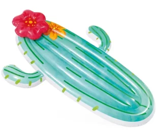 Materac kaktus - Intex - Zabawki i gry sportowe - miniaturka - grafika 1