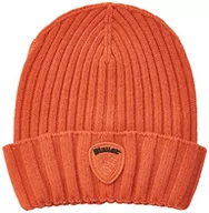 Czapki męskie - Blauer Akcesoria męskie HAT czapka beanie, 431 pomarańczowa marchewka, jeden rozmiar - miniaturka - grafika 1