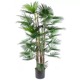 Leaf Duże sztuczne drzewo, 120 cm palma wachlarzowa - Sztuczne drzewka - miniaturka - grafika 1