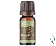 Zioła - Olejek EUKALIPTUS CYTRYNOWY Nanga 10ml - miniaturka - grafika 1