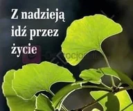 Religia i religioznawstwo - "Z nadzieją idź przez życie" Perełka - miniaturka - grafika 1