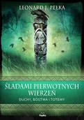 Literatura popularno naukowa dla młodzieży - Replika Śladami pierwotnych wierzeń. Duchy, bóstwa i totemy LIT-40008 - miniaturka - grafika 1