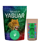 Yerba Mate - Zestaw Yerba Mate 500g Guayusa Organiczna 100g - miniaturka - grafika 1