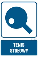 Systemy ekspozycyjne i znaki informacyjne - RD001 TENIS STOŁOWY, FN - FOLIA SAMOPRZYLEPNA; (250X375MM) - miniaturka - grafika 1