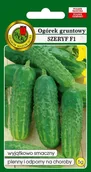 Nasiona i cebule - Ogórek Szeryf F1 5 g PNOS - miniaturka - grafika 1