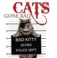 Cats Gone Bad - Scratching Kat - Rozrywka i humor - miniaturka - grafika 1