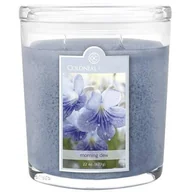 Świece - Świeca zapachowa w owalnym szkle duża Colonial Candle 623 g Poranna Rosa - miniaturka - grafika 1