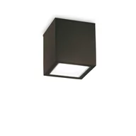 Lampy ogrodowe - Ideal Lux Lampa sufitowa zewnętrzna TECHO PL1 BIG czarna 251530 251530/IL - miniaturka - grafika 1