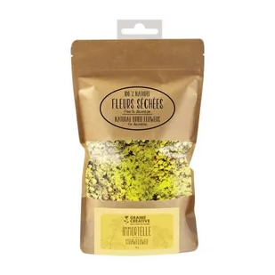 Suszone kwiaty Immortelle - Deco Candle Soap Beige - Sztuczne kwiaty - miniaturka - grafika 1