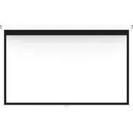 Ekran HISENSE PM100H