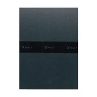 Zeszyty szkolne - Zeszyt A4 48 kartek 90g w linie VAULT - miniaturka - grafika 1