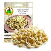 Nasiona i cebule - Nasiona na kiełki soczewica z systemem tradycyjnym - miniaturka - grafika 1