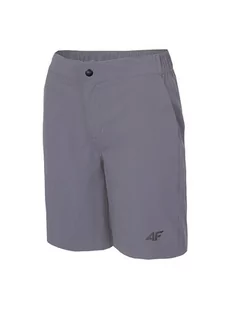 4F Szorty funkcyjne w kolorze szarym - Spodnie sportowe damskie - miniaturka - grafika 1