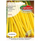 Nasiona i cebule - nasiona Fasola szparagowa zwykła karłowa, Maxidor 30g - Torseed - miniaturka - grafika 1