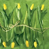 Pozostałe książki - 228300 Serwetki SDL228300 Fresh Tulips - miniaturka - grafika 1