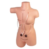 Mały naukowiec - Trenażer Do Nauki Bandażowania i Pielęgnacji Ran - miniaturka - grafika 1