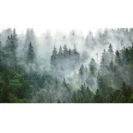 Tapety - Mural Forest las we mgle 500 x 280 cm delikatna struktura - miniaturka - grafika 1