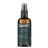 Kosmetyki i akcesoria do pielęgnacji brody - Dandy Beard, spray oczyszczający do dezynfekcji brody, 100ml - miniaturka - grafika 1