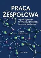Biznes - Praca zespołowa. Organizacja czasu, motywacja.. - Anna Pluta, Hanna Soroka-Potrzebna - książka - miniaturka - grafika 1