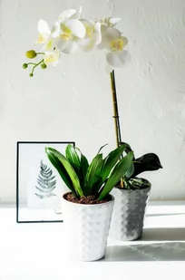 Blumfeldt Osłonka ceramiczna HAVEN jasno szara - Donice - miniaturka - grafika 1