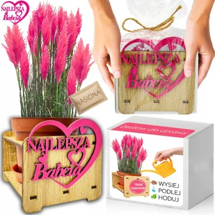 Prezent na DZIEŃ BABCI Trawa Pampasowa Różowa Zestaw do Uprawy NASIONA - Nasiona i cebule - miniaturka - grafika 1