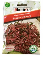 Nasiona i cebule - Plantico Nasiona na Kiełki buraka - miniaturka - grafika 1