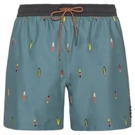 Spodenki męskie - Spodenki męskie Protest PRTFIRDOWS beachshort PROTEST S - miniaturka - grafika 1