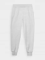 Dresy damskie - SPODNIE DAMSKIE DRESOWE 4F XL JOGGERY TTROF0946 AW24 - miniaturka - grafika 1