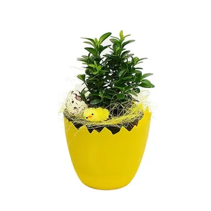 DONICZKA SKORUPKA OSŁONKA WIELKANOCNA 12CM MIX 10SZT - Wielkanoc - miniaturka - grafika 1