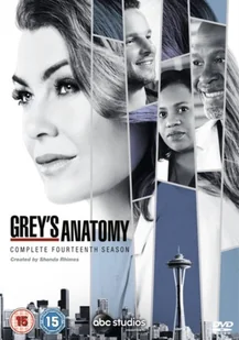 Grey's Anatomy: Complete Fourteenth Season (brak polskiej wersji językowej) - Filmy obyczajowe DVD - miniaturka - grafika 1