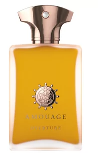 Amouage Overture Man EDP 100ml - Wody i perfumy męskie - miniaturka - grafika 1