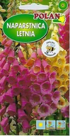 Nasiona i cebule - Naparstnica Foxy mieszanka 1 g POLAN - miniaturka - grafika 1