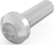 Śruby i nakrętki - SCHROFF Śruba z łbem walcowym, Torx, M4 x 14, 100 szt. - miniaturka - grafika 1