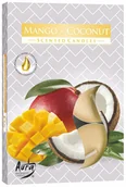 Świece - Bispol Podgrzewacze zapachowe 4H MANGO-KOKOS 6szt BISPOL2146 - miniaturka - grafika 1