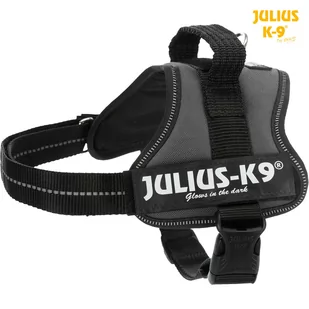 Julius-K9 Szelki dla psa Power Antracyt Mini - Szelki dla psów - miniaturka - grafika 1