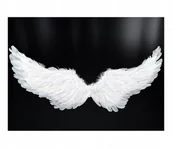 Stroje karnawałowe - BIAŁE SKRZYDŁA ANIOŁA STRÓJ ANIOŁEK JASEŁKA - miniaturka - grafika 1