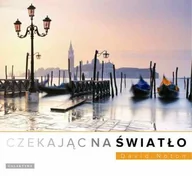 Książki o kulturze i sztuce - Czekając na światło - miniaturka - grafika 1