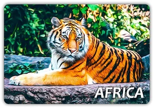 Afryka - Tygrys - Zwierzęta - Magnes Na Lodówkę - Magnesy - miniaturka - grafika 1