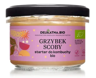 GRZYBEK SCOBY STARTER DO KOMBUCHY BIO 150 g - DELIKATNA (ZAKWASOWNIA) - Herbata - miniaturka - grafika 1