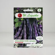 Nasiona i cebule - Nasiona Fasola zwykła Blauhilde 10g - W.Legutko - miniaturka - grafika 1