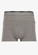 Majtki męskie - Szare Bawełniane Majtki Bokserki z Ozdobnym Napisem i Szeroką Gumką w Pasie Blinsea - miniaturka - grafika 1