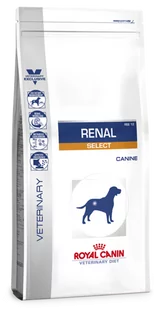 Royal Canin 216680 VD Dog Renal Select 2 kg 216680 VD Dog Renal Select 2 - Sucha karma dla psów - miniaturka - grafika 1