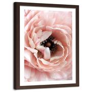 Plakaty - Plakat ozdobny w ramie brązowej FEEBY Zbliżenie na różowy kwiat, 60x90 cm - miniaturka - grafika 1